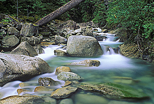溪流,不列颠哥伦比亚省,加拿大