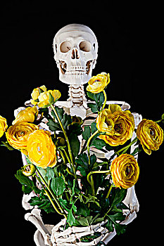 骨骼,拿着,花束,黄色,毛茛属植物,花