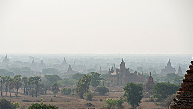 亚洲,缅甸,蒲甘寺庙,塔,风景