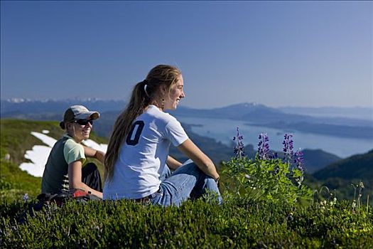 远足者,停止,赞赏,风景,高山,高处,盆地,树林,靠近,阿拉斯加