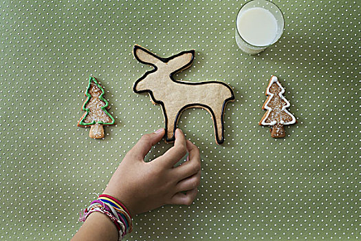 手,有机,自制,圣诞曲奇,形状,驯鹿,圣诞树