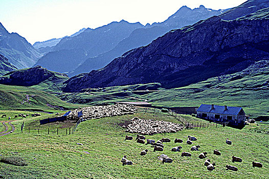 法国,阿基坦,山谷,隘口