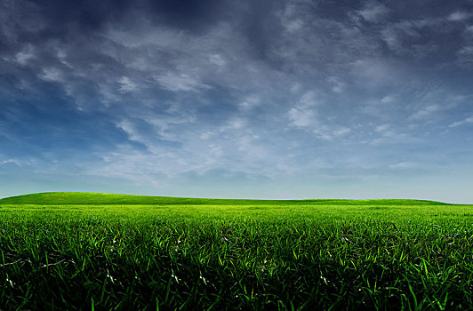 草原,草地,草坪,绿地,绿草,地面,环境,绿植,背景,汽车修图,汽车背景,天空