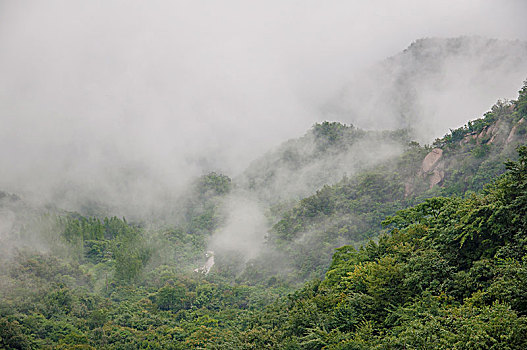 雾气弥漫的山峰