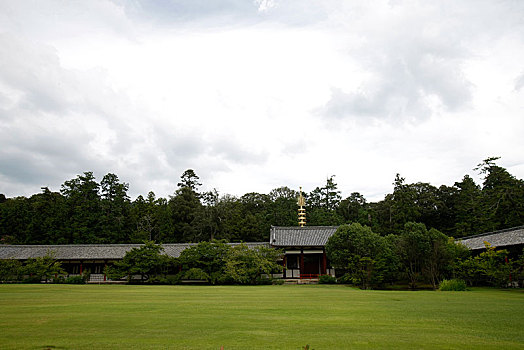 日本,奈良,东大寺