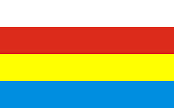 波德拉谢省,旗帜