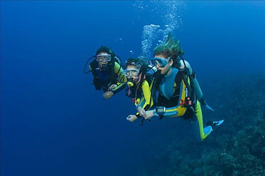 三个,潜水者,潜水,上方,珊瑚礁,加勒比海,洪都拉斯,中美洲