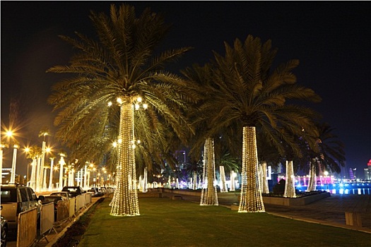光亮,棕榈树,滨海路,多哈,卡塔尔,中东