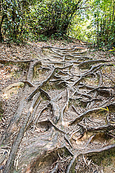 福建武夷山