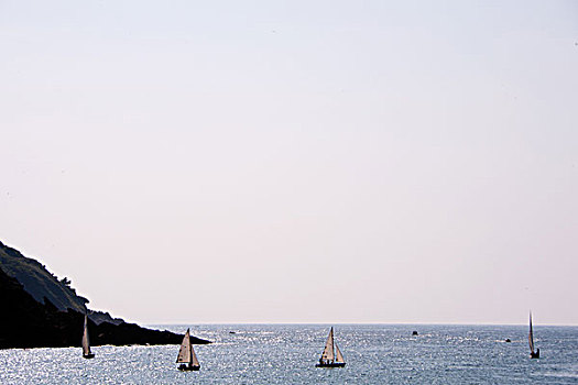 帆船,海上,圣塞巴斯蒂安,西班牙