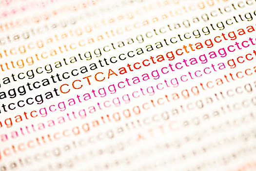 清单,基因,分析,文字,彩色
