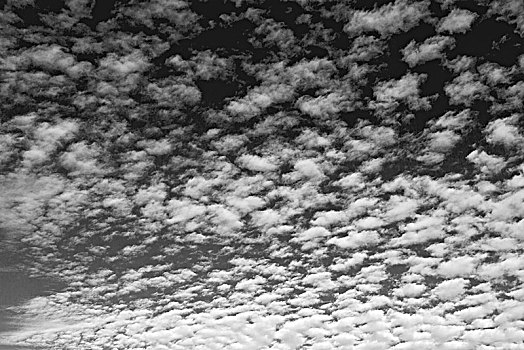 澳大利亚,空,天空,满,云,背景,纹理
