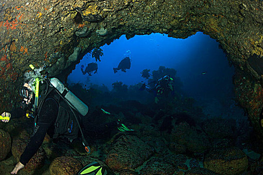 潜水,游动,海洋,洞穴,背景,靠近,穷,岛屿,北岛,新西兰