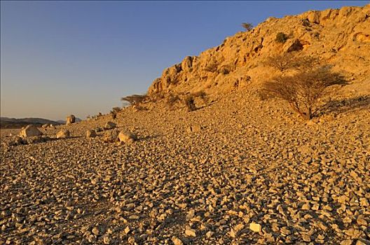 岩石,荒漠景观,靠近,沙尔基亚区,区域,阿曼苏丹国,阿拉伯,中东