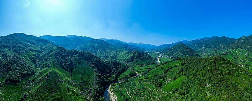 大山茶田风光宽幅大图