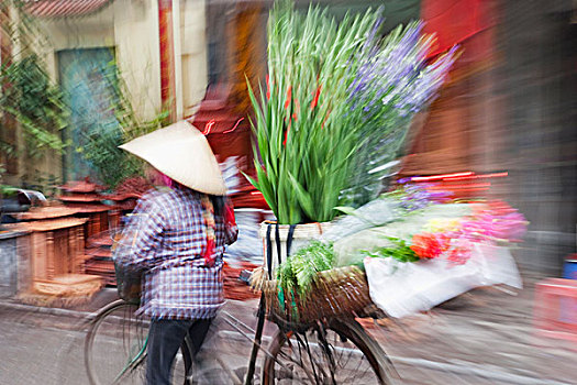 越南,河内,移动,花,摊贩