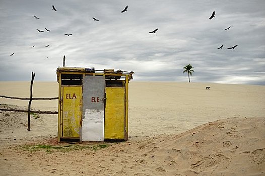 卫生间,小屋,紧张,沙丘,里奥格兰德,巴西
