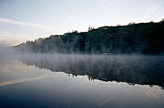 反射,树,水中,州立公园,宾夕法尼亚,美国