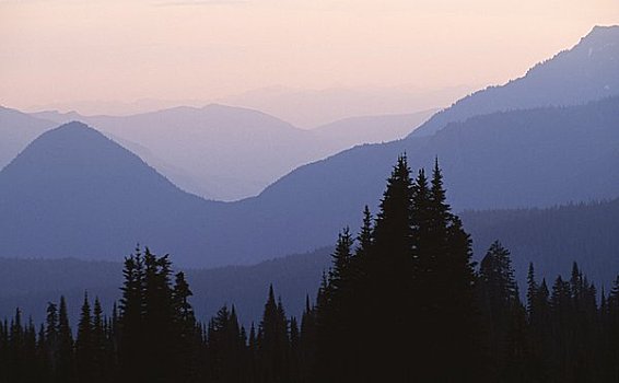 剪影,山峦,日出,雷尼尔山,国家公园,华盛顿,美国