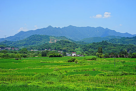 大山里