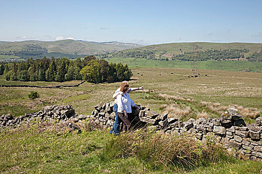 乡村,石头,栅栏,邓弗里斯,苏格兰
