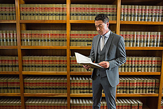 律师,读,书本,法律,图书馆