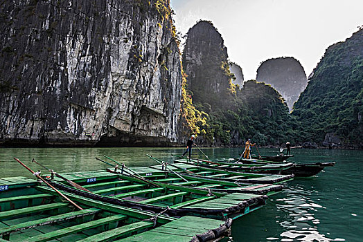 越南,下龙湾,小,船,排列,世界遗产