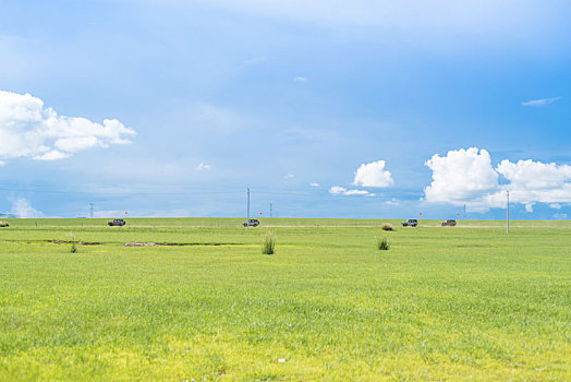 内蒙古,锡林郭勒,大草原