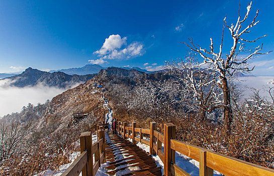 西岭雪山大雪的美丽风景