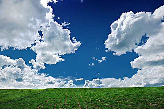 自然,背景,地点,绿色,草,完美,蓝天,云