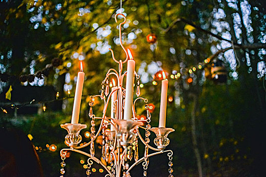 烛光,枝状大烛台,悬挂,树林,黄昏