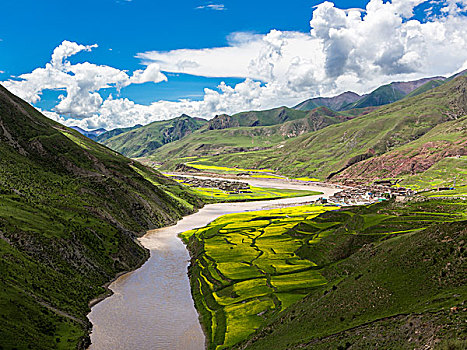 西藏比如县良曲乡,怒江,油菜花