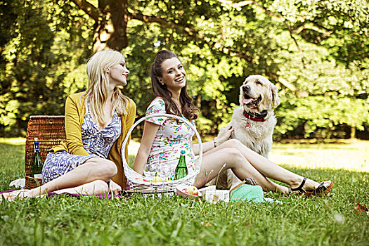 两个,女朋友,狗,夏天,野餐