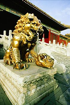雕塑,狮子,正面,建筑,故宫,北京