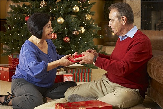 老年,夫妻,交换,礼物,正面,圣诞树