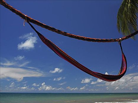 吊床,绳索,曼萨尼约,海滩,哥伦比亚