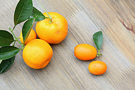 柑橘,金橘
