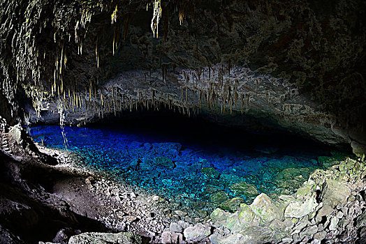 钟乳石,洞穴,蓝湖,靠近,鲣,巴西,南美