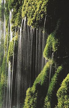 小,瀑布,上方,苔藓,水