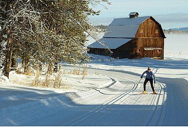 北欧滑雪图片