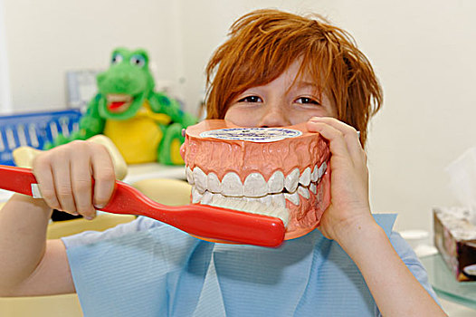男孩,指示,牙齿,模型,口腔卫生,牙齿保健,拜访