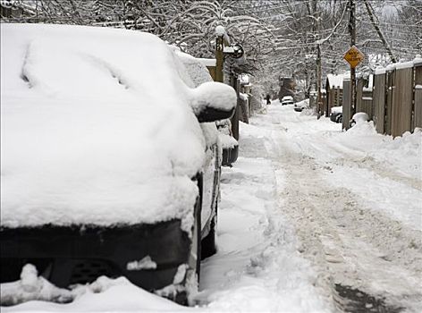 汽车,停放,侧面,道路,冬天,多伦多,安大略省,加拿大