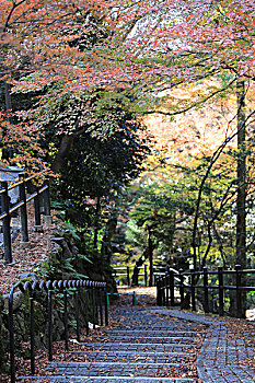 京都