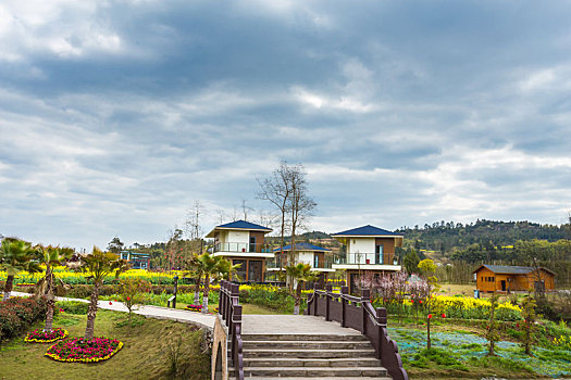 稻田,油菜花,建筑