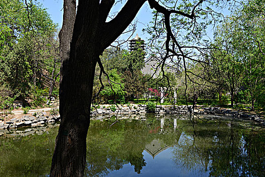 北京大学,博雅塔