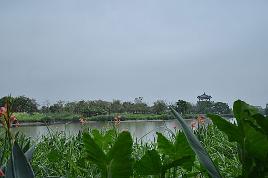 下雨天