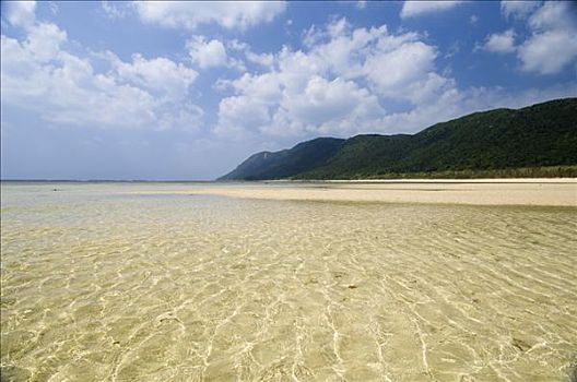 清水,沙滩,石垣岛,冲绳,日本