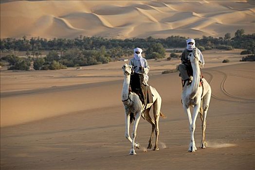 两个,柏柏尔人,乘,优雅,骆驼,沙漠,利比亚