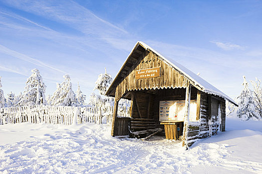 积雪,冷杉,小屋,矿,山峦,萨克森,德国