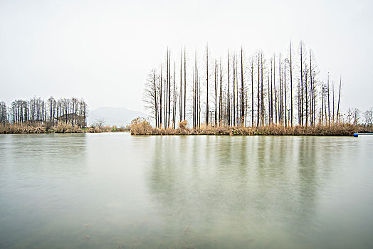 杭州湘湖景区自然风光